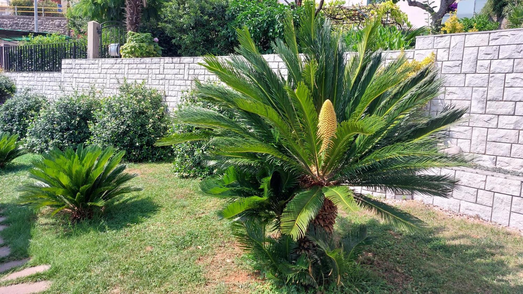 Opatija Centar Exterior foto